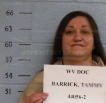 Tammy M Barrick