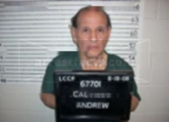 Andrew Acosta Calvillo