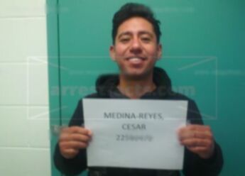 Cesar Medina-Reyes