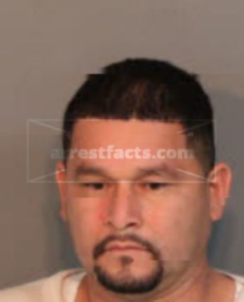 Raul P Dominguez