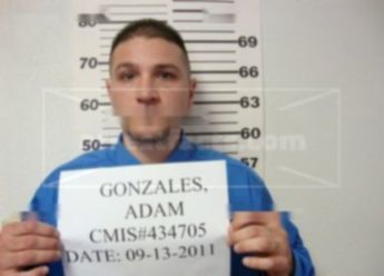 Adam A Gonzales