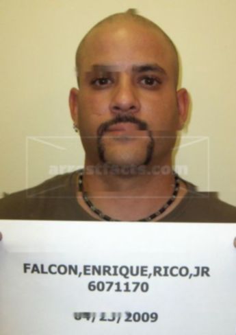 Enrique Rico Falcon