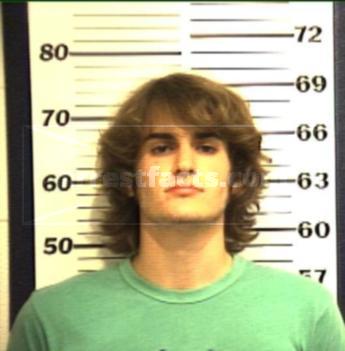 Travis Collin Boswell