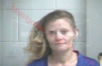 Tammy Renee Elkins