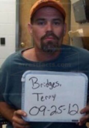 Terry Nathan Bridges