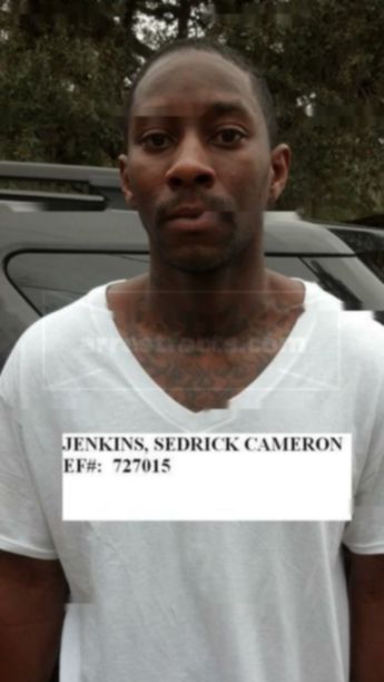 Sedrick Cameron Jenkins