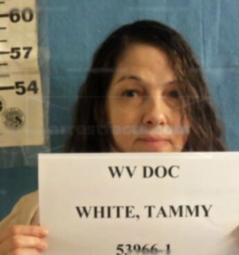 Tammy J White