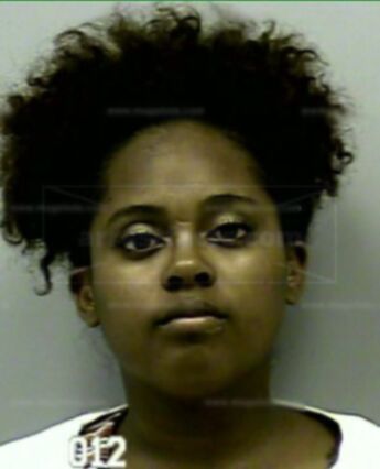 Terrielle Ashley Johnson