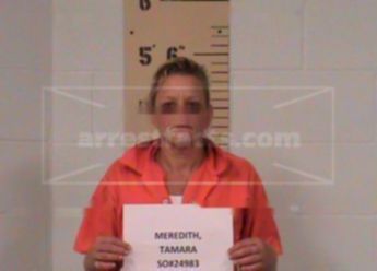 Tamara Elaine Meredith