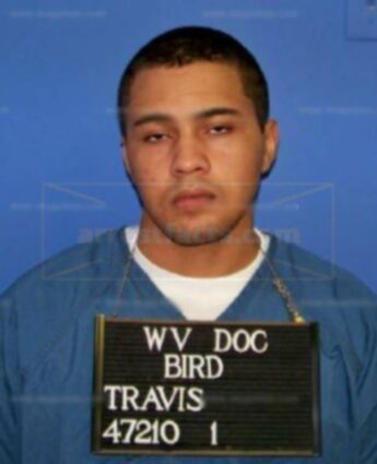 Travis Bird
