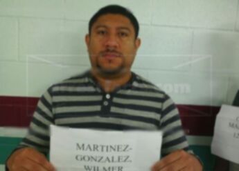 Wilmer Martinez-Gonzalez