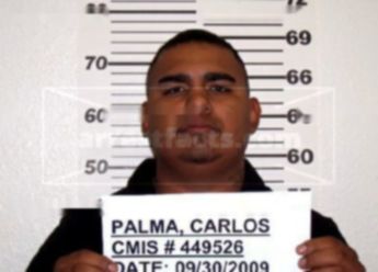 Carlos Palma