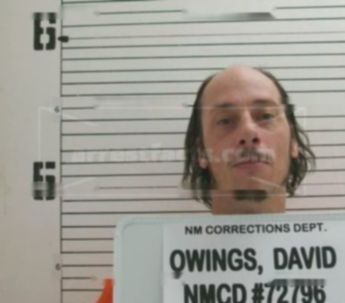 David Duane Owings