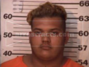 Michael Anthony Herrera Delgado