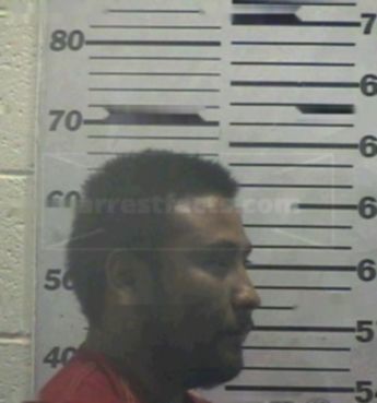 Martin Sr. Torres