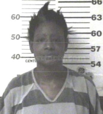 Nichelle Lavern Johnson