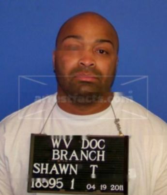 Shawn T Branch