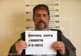 Larry Shane Barnes