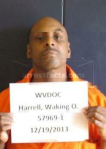 Waking Orenzo Harrell