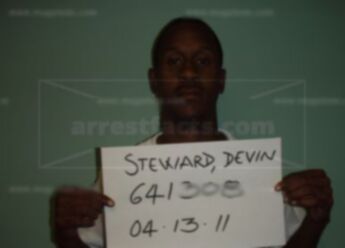 Devin L Stewart