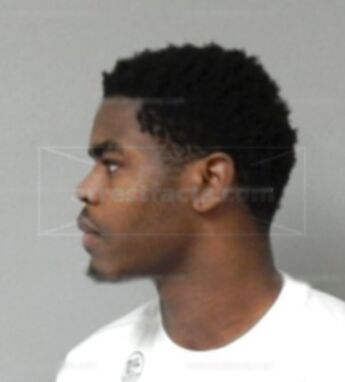 Adrian L Johnson