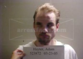 Adam L Hayter