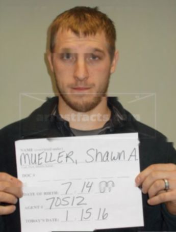 Shawn A Mueller