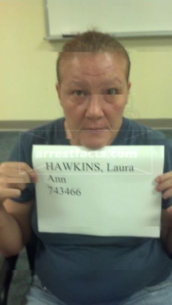 Laura Ann Hawkins