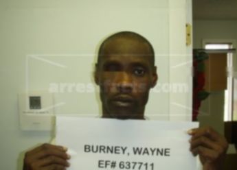 Wayne Burney