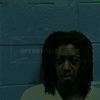 Brandon Lewis Menefee