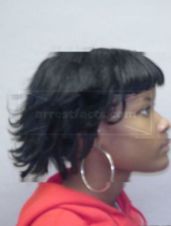 Fredricka S Hodges