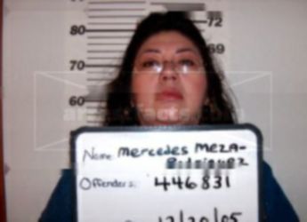 Mercedes Meza-Rodriguez