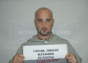 Timothy Alexander Caylor