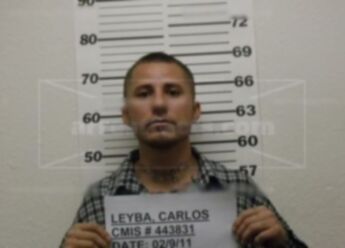 Carlos Adrian Leyba