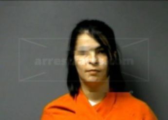 Amber Gibson _ Probation Violation No Bond