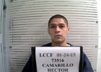 Hector Joe Camarillo