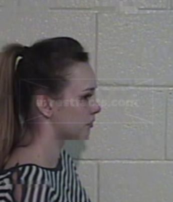 Andrea Renee Palmer Cook