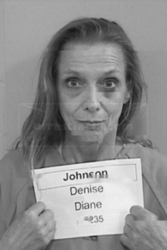 Denise Diane Johnson