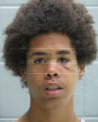 Michael Lee Mathis