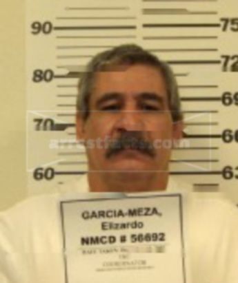 Elizardo Garcia-Meza