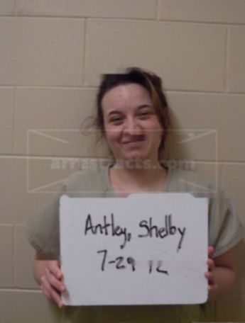 Shelby L Antley