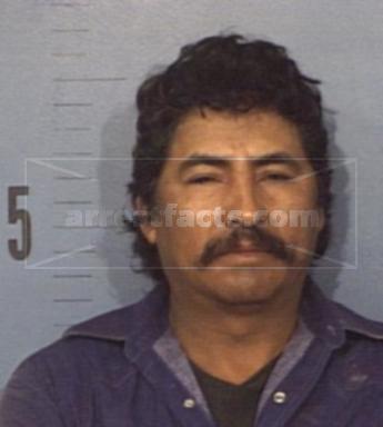 Elpidio Torres Dominguez