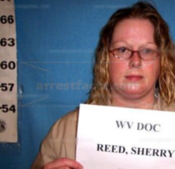 Sherry L Reed