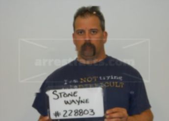 Wayne S Stone