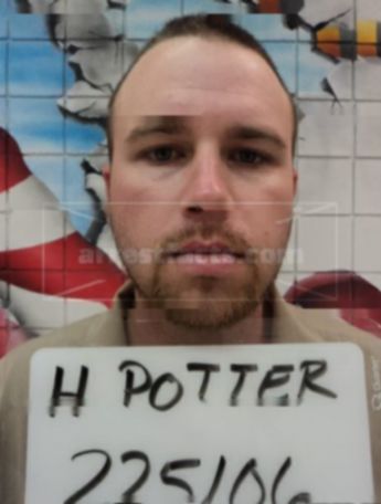 Harold Potter