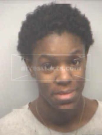 Taylor Lynice Halstead