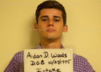 Aidan D Woods