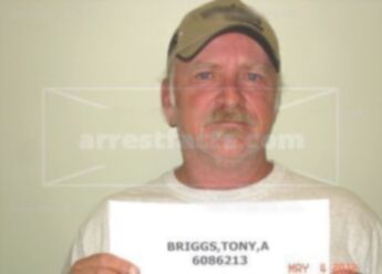 Tony A Briggs