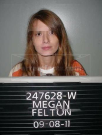 Megan J Felton