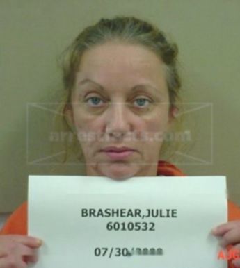 Julie Irene Brashear